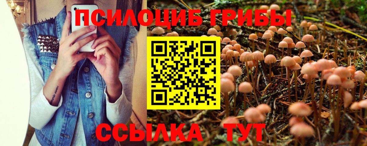 Орехово-Зуево  Псилоцибиновые грибы Psilocybine cubensis  Псилоцибиновые грибы GOLDEN TEACHER  Вход с VPN 
