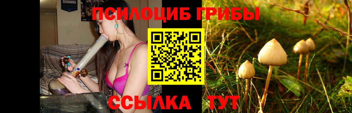 Псилоцибиновые грибы MAGIC MUSHROOMS Орехово-Зуево